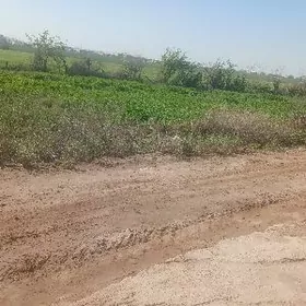 Mellek ýer 10 sotyk