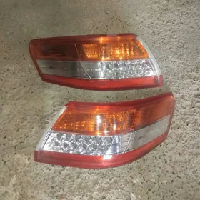 fara haliji okuz kelle