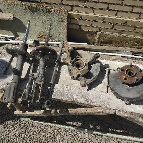 Amestizator stupissa