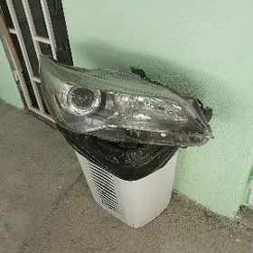 Азиада Lee клас