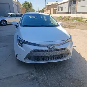 Toyota Corolla 2021