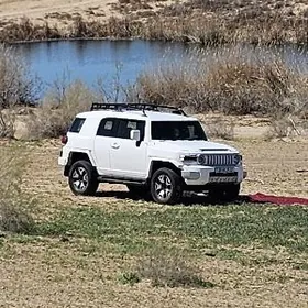 Toyota FJ Cruiser 2008