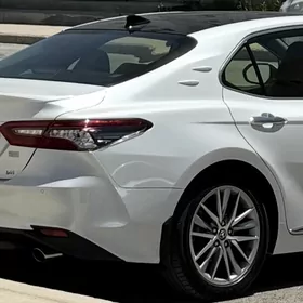 camry žabra  2018 2023 aralyk