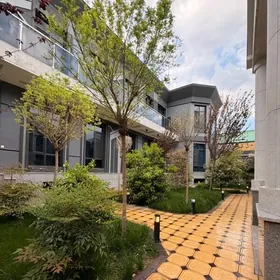 ANEW AHAL KOCE LUX KOTTEJ