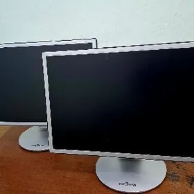 monitor 22 (zapçast )