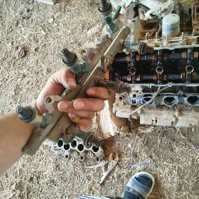 3lik mator garlawina viti