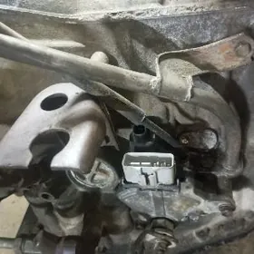 2 lik 2.2 lik toksyz karopga