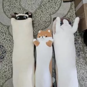 pişik ýassyk pillow