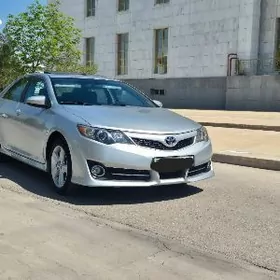 Toyota Camry 2013