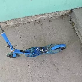 Самокат( samokat)