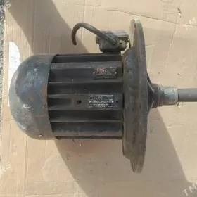 mator 3 sany 2500 manat