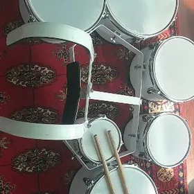 Kifit asylýan radadadam