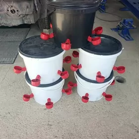 towukla ucin suw bedre