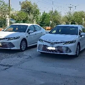 Toyota Camry 2019
