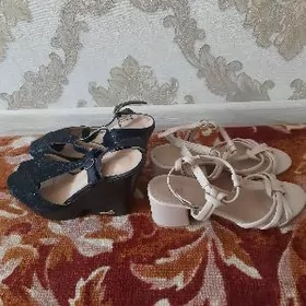 басаношгалар