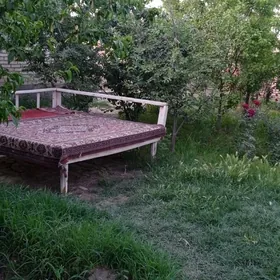 EYESINDEN SATLYK JAY