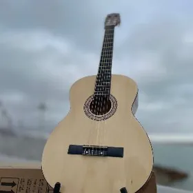 JIZHILIN ELEKTRO GITARA