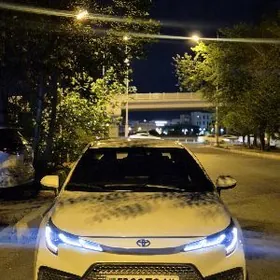 Toyota Corolla 2024