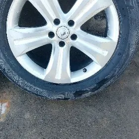 2010 haylander diska