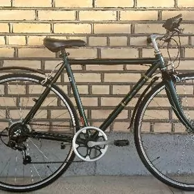 Arginal Japan tigir welisopet