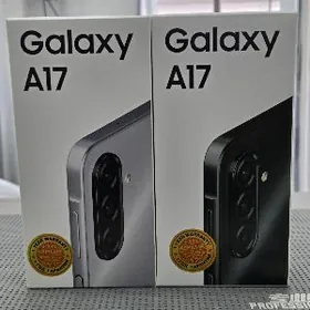 A17 6/128  Garasharna