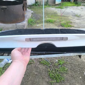 carolla spoler haliji