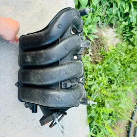 паук pawuk karolla 2022