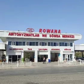 wulkanzasya isgar alyas