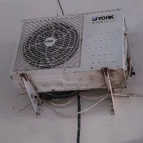 Kansaner 18 lik matory yanan