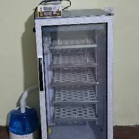 inkubator juje cykaryan