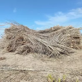 , hyssa gamys jay basyrlyan