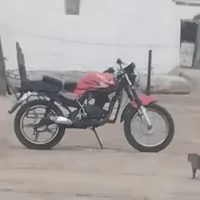 Fekon FK200-14G 2026