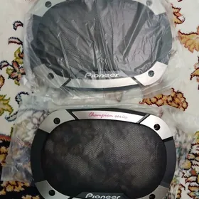 Pionner kalonkan ramkast