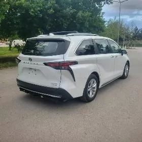 Toyota Sienna 2021