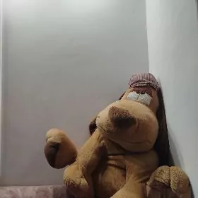 Большая Собачка мягкая игрушка