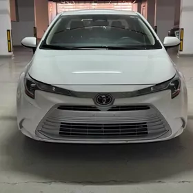 Toyota Corolla 2023
