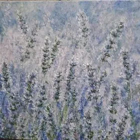 Лавандовое поле