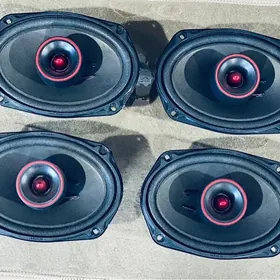 Pioneer arginal 600w