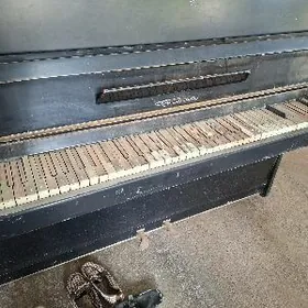 pianino