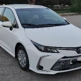 Toyota Corolla 2023
