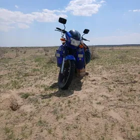 Fekon FK200-14G 2025