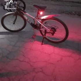 Orginal spartiwni tigir