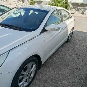 Hyundai Sonata 2010