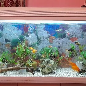 zovodsoy akvaryum 230 litir