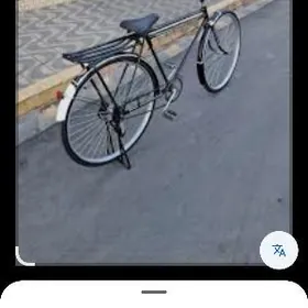 500 welsapedin pakrysgalary