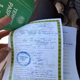 traktor dakument yitdi