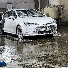 Toyota Corolla 2021