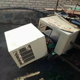 byk kansiner korpysy