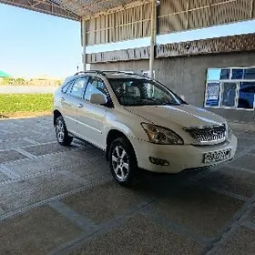 Lexus RX 330 2004