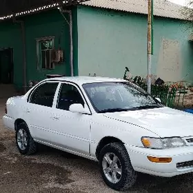 Toyota Corolla 1996
